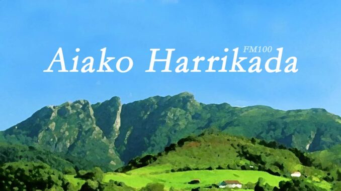aiakoharrikada_burua